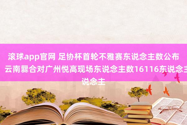 滚球app官网 足协杯首轮不雅赛东说念主数公布：云南爨合对广州悦高现场东说念主数16116东说念主