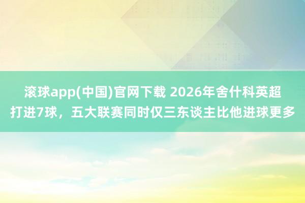 滚球app(中国)官网下载 2026年舍什科英超打进7球，五大联赛同时仅三东谈主比他进球更多