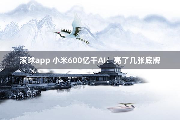 滚球app 小米600亿干AI：亮了几张底牌