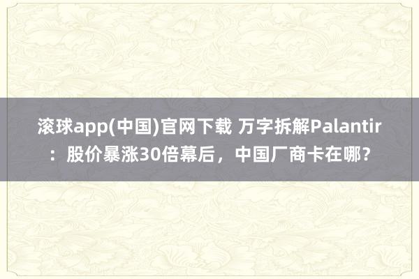 滚球app(中国)官网下载 万字拆解Palantir：股价暴涨30倍幕后，中国厂商卡在哪？
