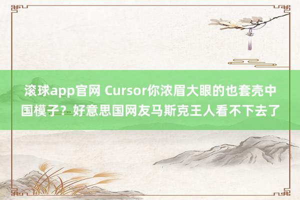 滚球app官网 Cursor你浓眉大眼的也套壳中国模子？好意思国网友马斯克王人看不下去了
