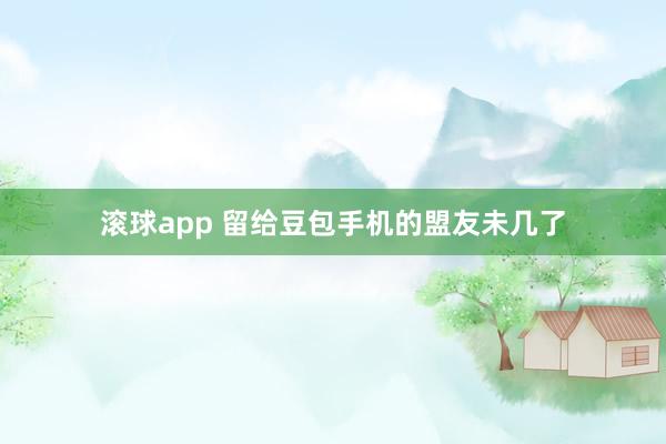 滚球app 留给豆包手机的盟友未几了