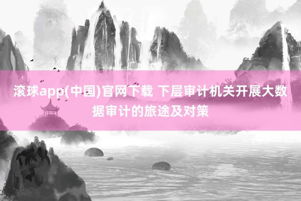 滚球app(中国)官网下载 下层审计机关开展大数据审计的旅途及对策