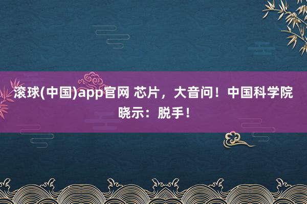 滚球(中国)app官网 芯片，大音问！中国科学院晓示：脱手！