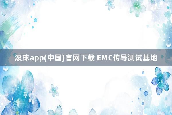 滚球app(中国)官网下载 EMC传导测试基地