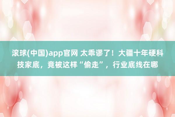 滚球(中国)app官网 太乖谬了！大疆十年硬科技家底，竟被这样“偷走”，行业底线在哪