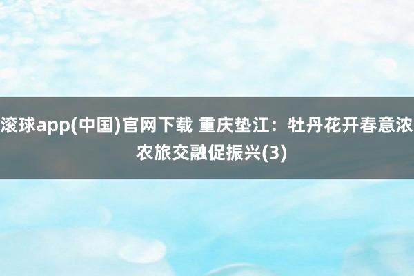 滚球app(中国)官网下载 重庆垫江：牡丹花开春意浓  农旅交融促振兴(3)
