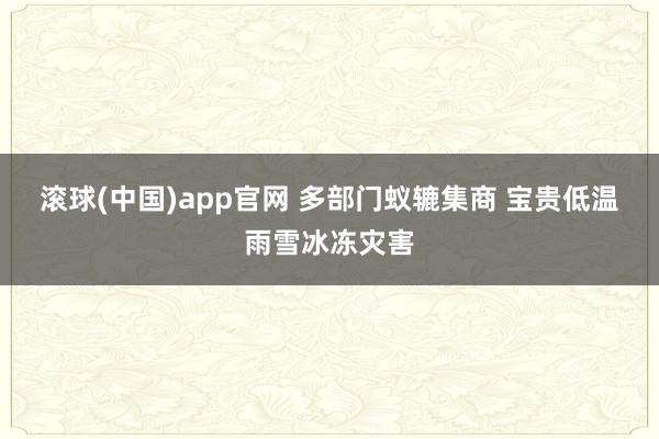 滚球(中国)app官网 多部门蚁辘集商 宝贵低温雨雪冰冻灾害