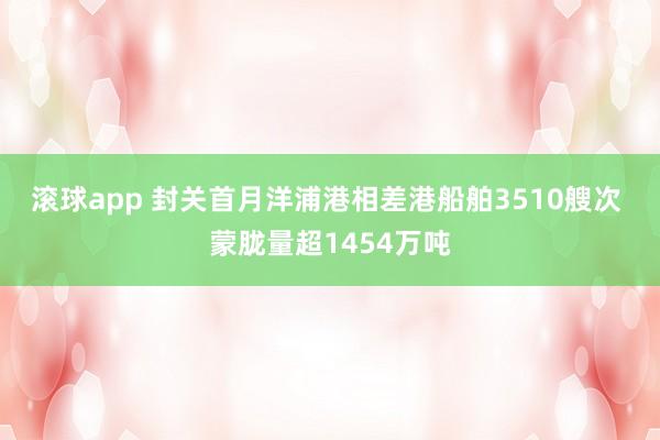 滚球app 封关首月洋浦港相差港船舶3510艘次 蒙胧量超1454万吨