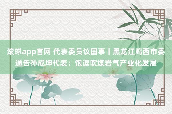 滚球app官网 代表委员议国事｜黑龙江鸡西市委通告孙成坤代表：饱读吹煤岩气产业化发展