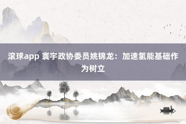 滚球app 寰宇政协委员姚锦龙：加速氢能基础作为树立