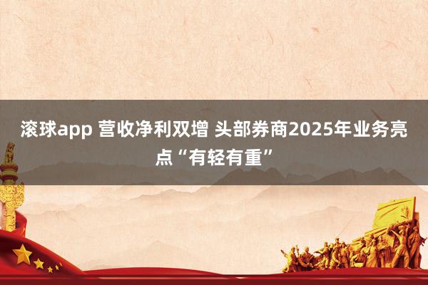 滚球app 营收净利双增 头部券商2025年业务亮点“有轻有重”