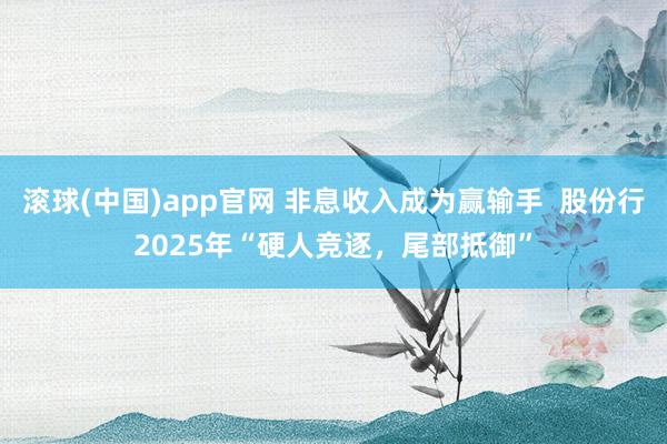 滚球(中国)app官网 非息收入成为赢输手  股份行2025年“硬人竞逐，尾部抵御”