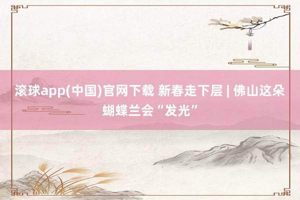 滚球app(中国)官网下载 新春走下层 | 佛山这朵蝴蝶兰会“发光”