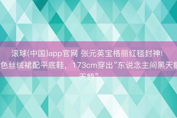 滚球(中国)app官网 张元英宝格丽红毯封神! 玄色丝绒裙配平底鞋，173cm穿出“东说念主间黑天鹅”