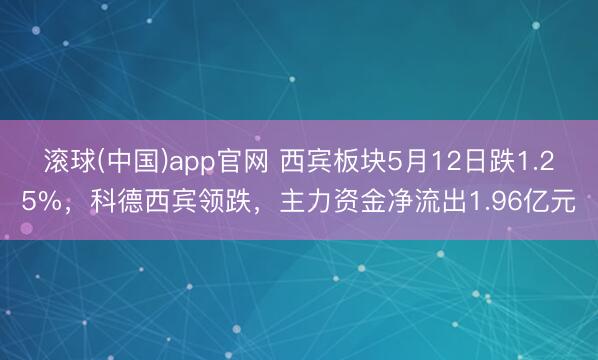 滚球(中国)app官网 西宾板块5月12日跌1.25%，科德西宾领跌，主力资金净流出1.96亿元
