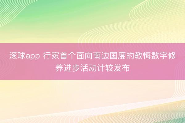 滚球app 行家首个面向南边国度的教悔数字修养进步活动计较发布