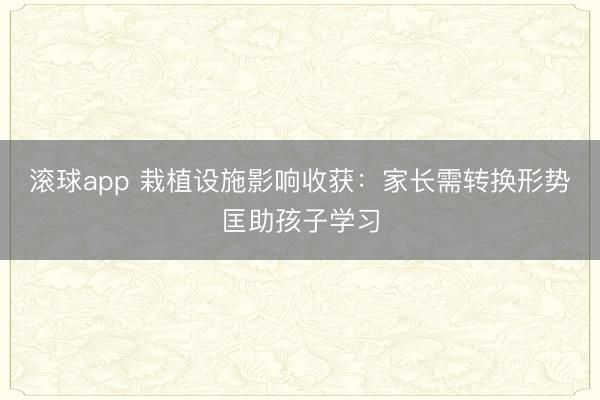 滚球app 栽植设施影响收获：家长需转换形势匡助孩子学习