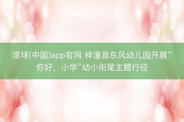 滚球(中国)app官网 梓潼县东风幼儿园开展“你好，小学”幼小衔尾主题行径