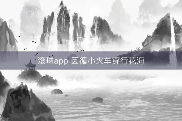滚球app 因循小火车穿行花海