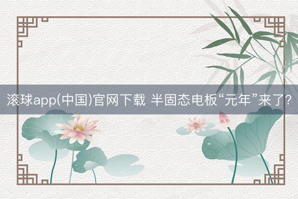 滚球app(中国)官网下载 半固态电板“元年”来了？