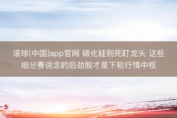 滚球(中国)app官网 碳化硅别死盯龙头 这些细分赛说念的后