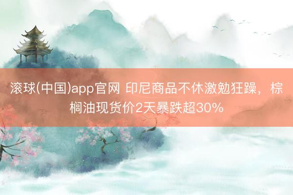 滚球(中国)app官网 印尼商品不休激勉狂躁，棕榈油现货价2天暴跌超30%