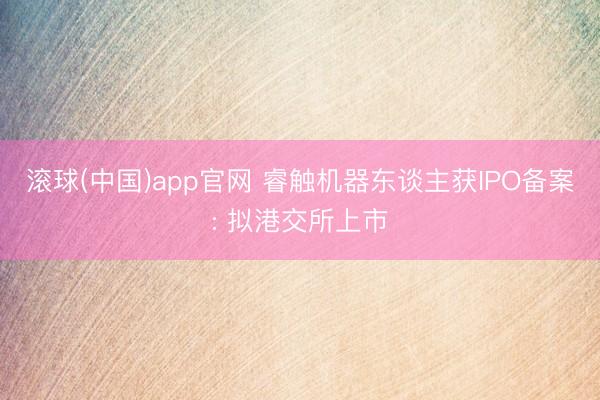 滚球(中国)app官网 睿触机器东谈主获IPO备案: 拟港交所上市