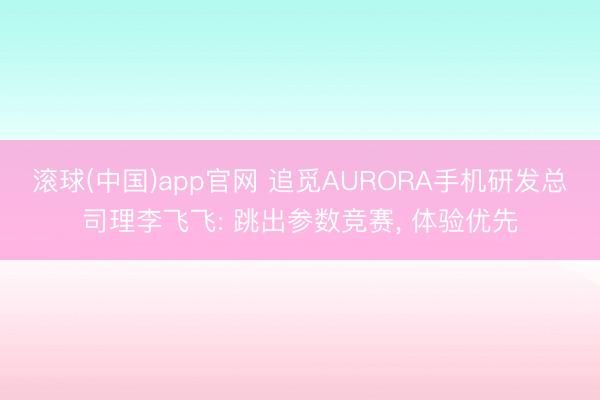滚球(中国)app官网 追觅AURORA手机研发总司理李飞飞: 跳出参数竞赛， 体验优先