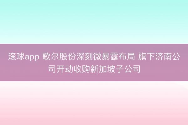 滚球app 歌尔股份深刻微暴露布局 旗下济南公司开动收购新加坡子公司