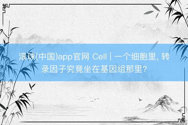 滚球(中国)app官网 Cell | 一个细胞里， 转录因子究竟坐在基因组那里?