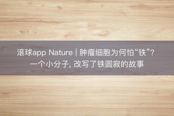 滚球app Nature | 肿瘤细胞为何怕“铁”? 一个小分子， 改写了铁圆寂的故事