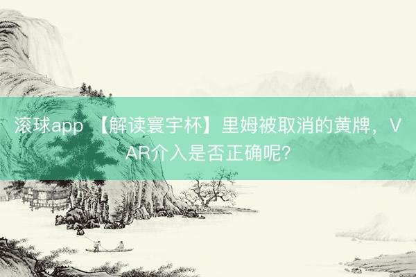 滚球app 【解读寰宇杯】里姆被取消的黄牌，VAR介入是否正确呢？
