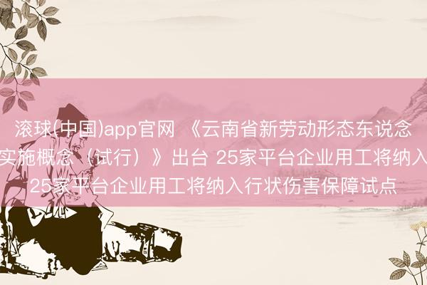 滚球(中国)app官网 《云南省新劳动形态东说念主员行状伤害保障实施概念（试行）》出台 25家平台企业用工将纳入行状伤害保障试点