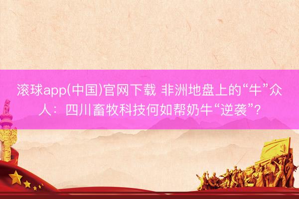 滚球app(中国)官网下载 非洲地盘上的“牛”众人：四川畜牧科技何如帮奶牛“逆袭”？