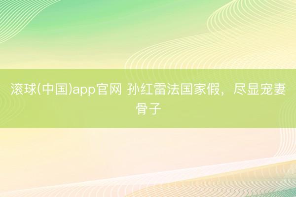 滚球(中国)app官网 孙红雷法国家假，尽显宠妻骨子