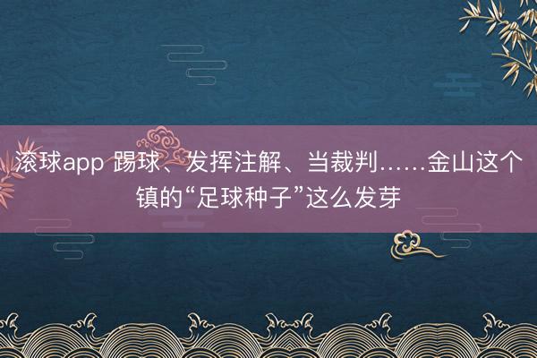 滚球app 踢球、发挥注解、当裁判……金山这个镇的“足球种子”这么发芽