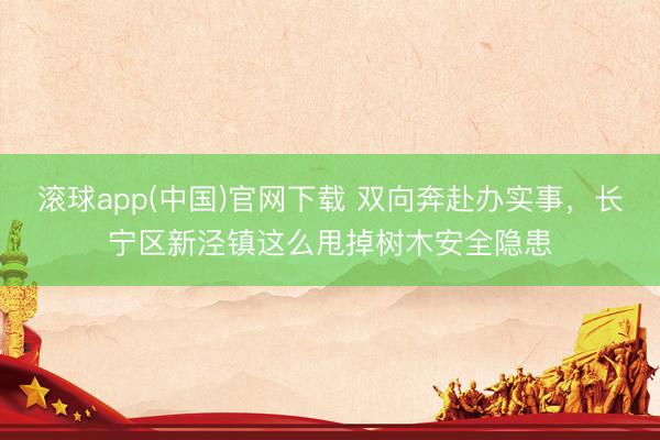滚球app(中国)官网下载 双向奔赴办实事，长宁区新泾镇这么甩掉树木安全隐患