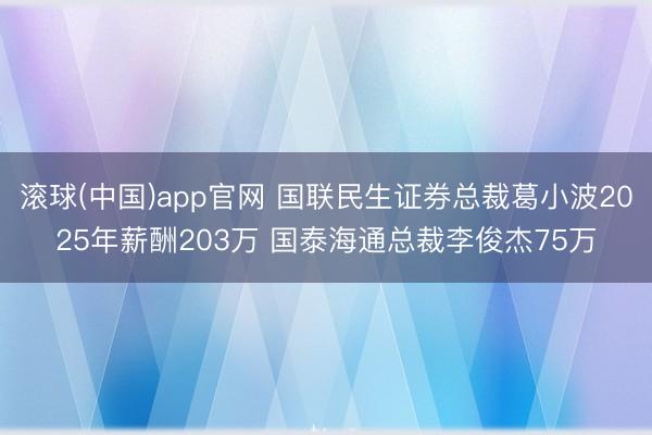 滚球(中国)app官网 国联民生证券总裁葛小波2025年薪酬203万 国泰海通总裁李俊杰75万