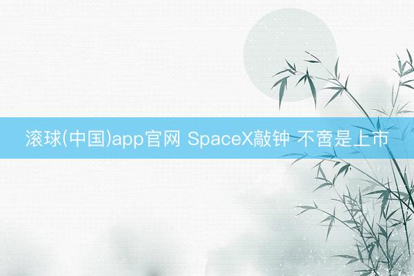 滚球(中国)app官网 SpaceX敲钟 不啻是上市