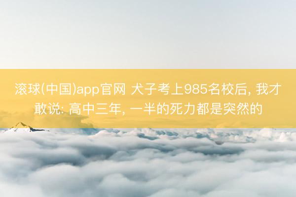 滚球(中国)app官网 犬子考上985名校后， 我才敢说: 高中三年， 一半的死力都是突然的