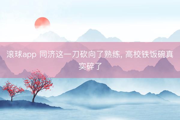滚球app 同济这一刀砍向了熟练， 高校铁饭碗真实碎了