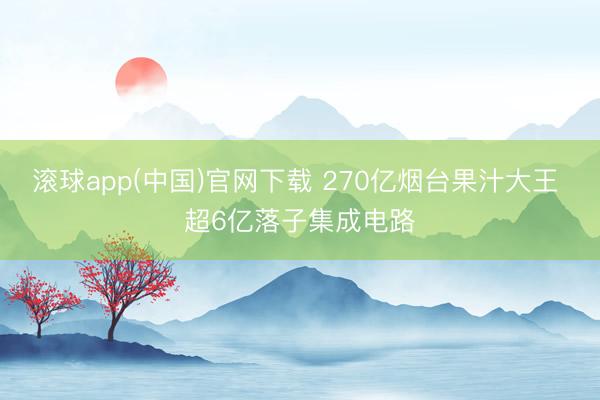 滚球app(中国)官网下载 270亿烟台果汁大王 超6亿落子集成电路